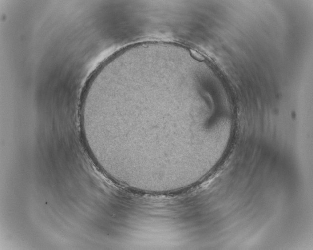 X0000088201168200706051224