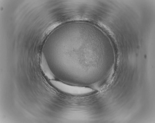 X0000088201169200706051224