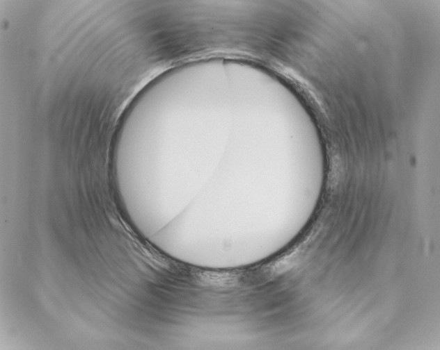 X0000088201170200706051224