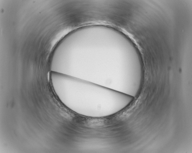 X0000088201171200706051224