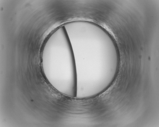 X0000088201173200706051224