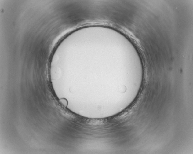 X0000088201174200706051224