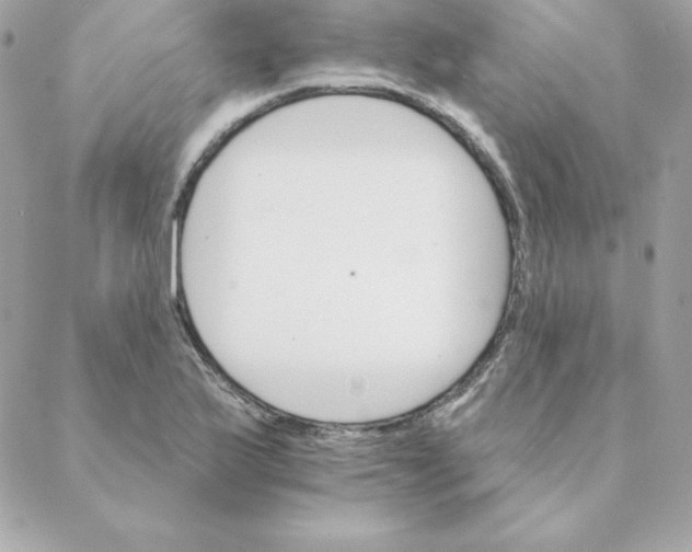 X0000088201175200706051224