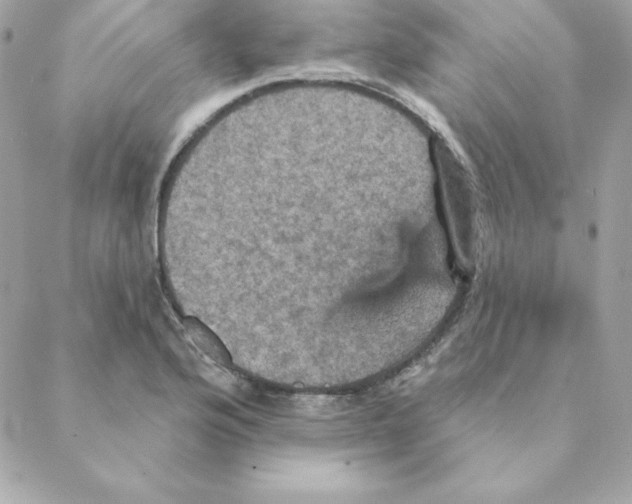 X0000088201176200706051224