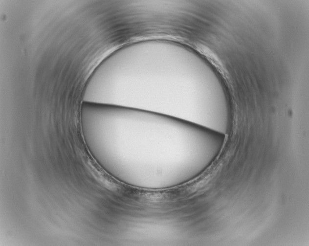 X0000088201177200706051224