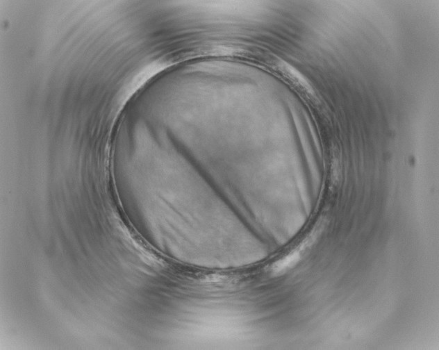 X0000088201178200706051224