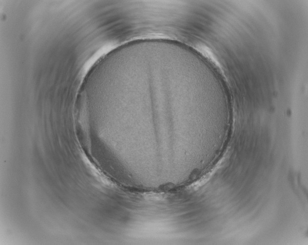 X0000088201181200706051224