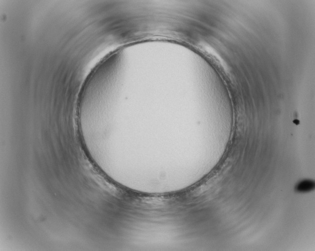 X0000088201182200706051224