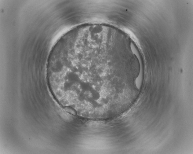 X0000088201183200706051224