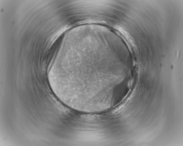 X0000088201185200706051224