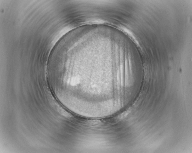 X0000088201186200706051224