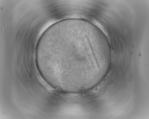 X0000088201187200706051224