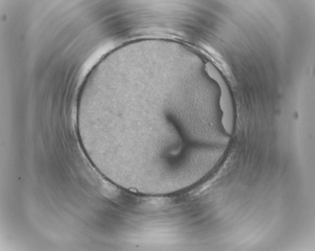 X0000088201188200706051224