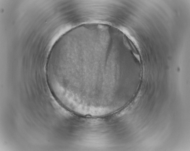 X0000088201189200706051224