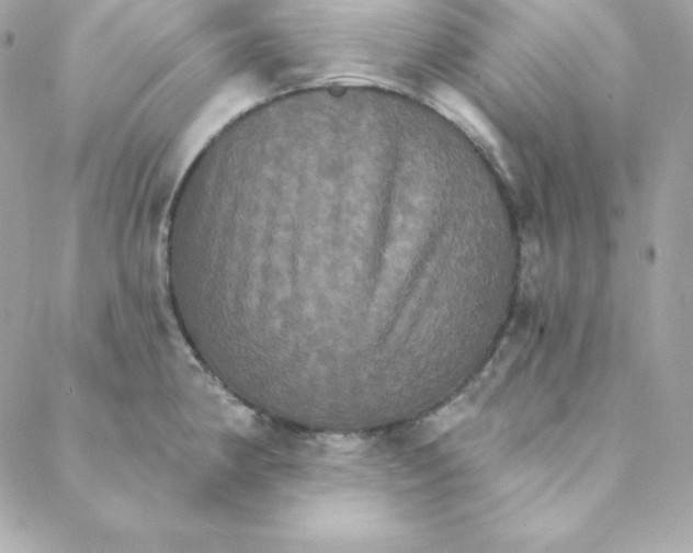 X0000088201190200706051224