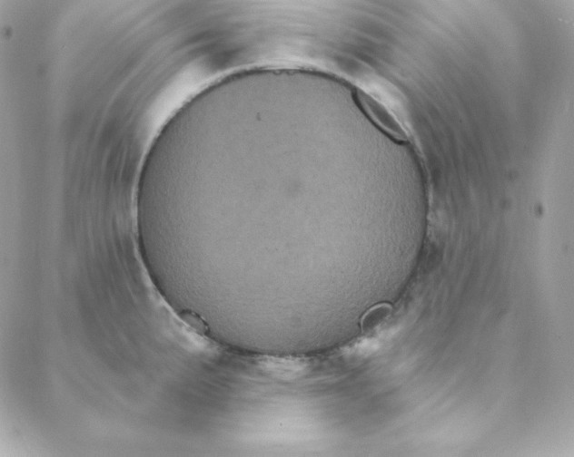 X0000088201191200706051224