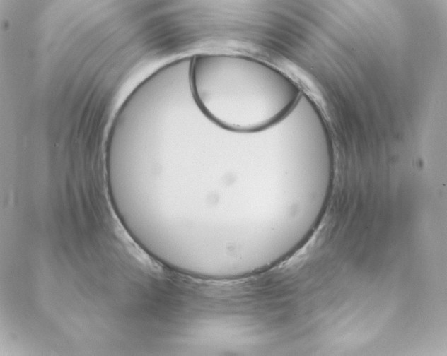 X0000088201192200706051224