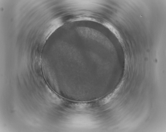 X0000088201193200706051224