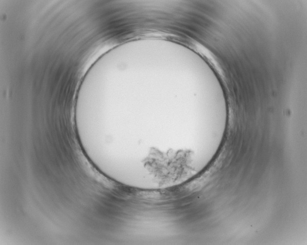 X0000088201194200706051224