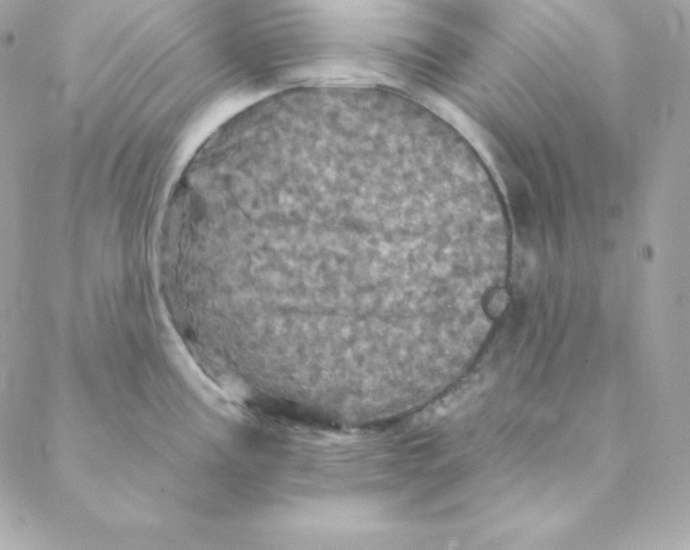 X0000088201195200706051224