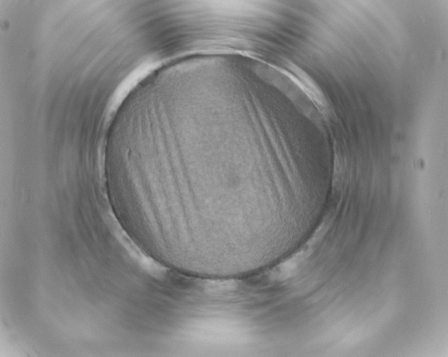 X0000088201196200706051224