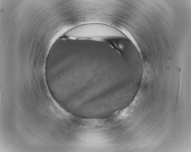 X0000088201197200706051224