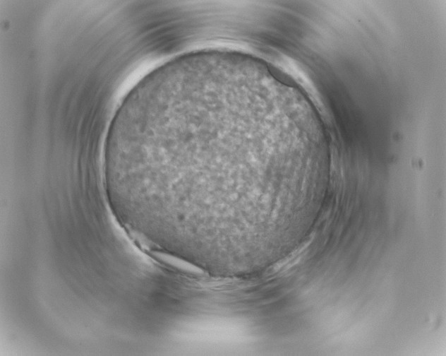 X0000088201199200706051224