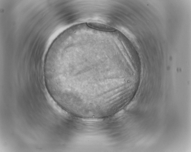 X0000088201200200706051224