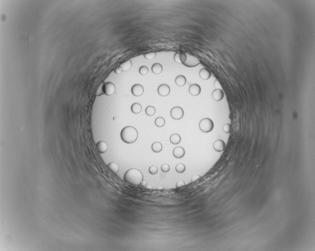 X0000088201201200706051223