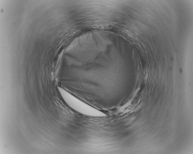 X0000088201202200706051223