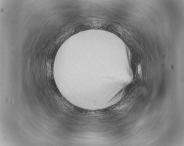 X0000088201203200706051223