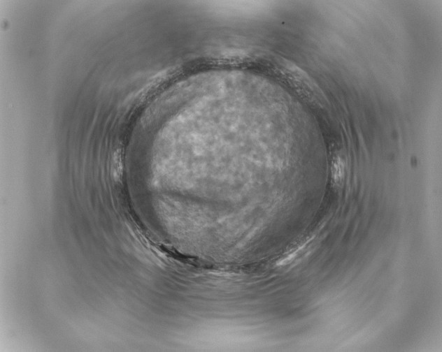 X0000088201204200706051223