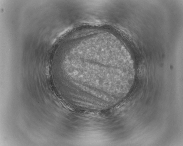 X0000088201205200706051223