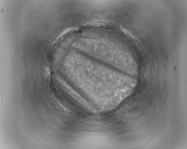 X0000088201206200706051223