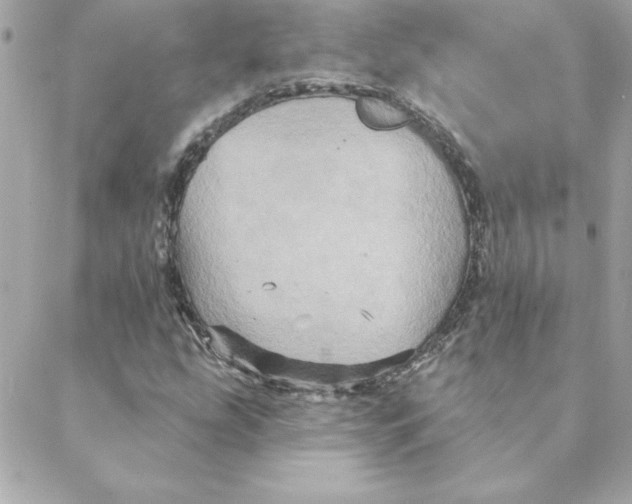 X0000088201207200706051223