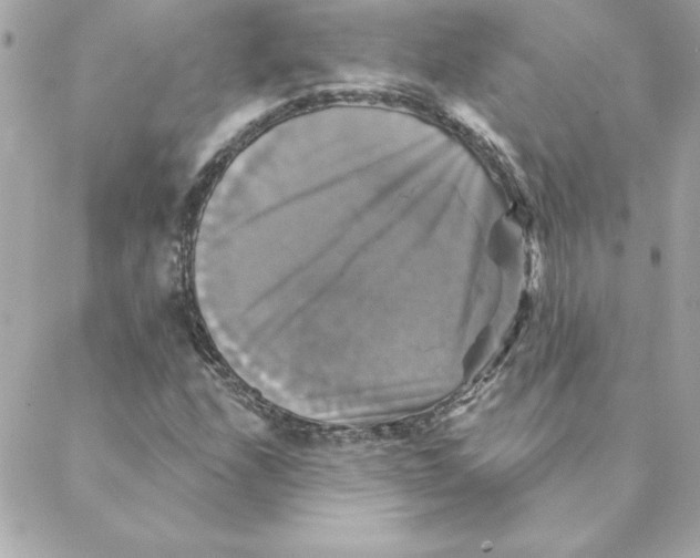 X0000088201208200706051223