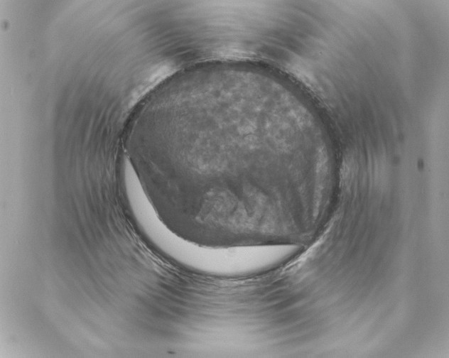 X0000088201209200706051223