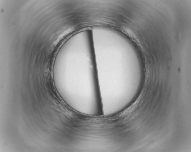 X0000088201210200706051223