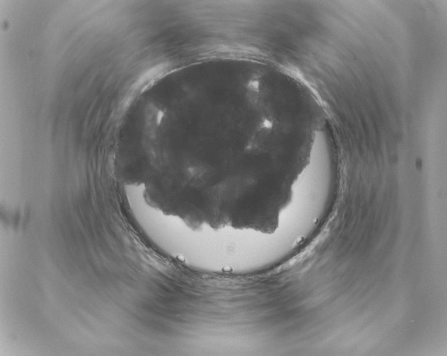 X0000088201211200706051223