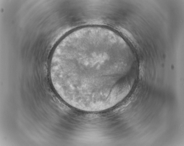 X0000088201212200706051223