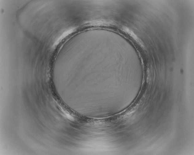 X0000088201213200706051223