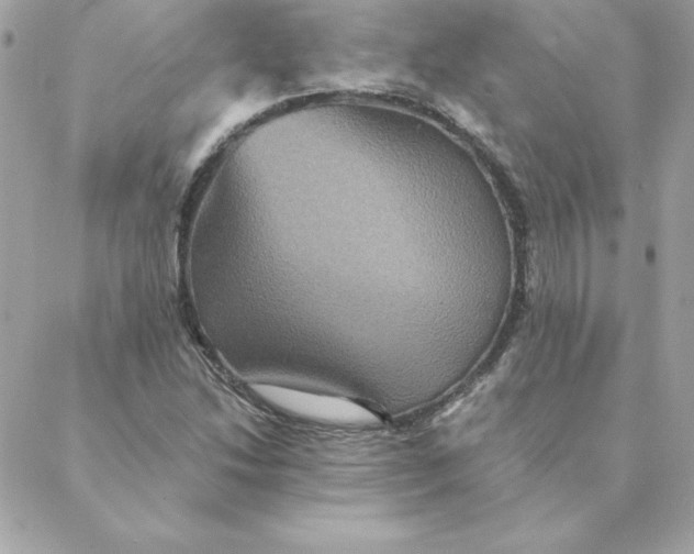 X0000088201214200706051223