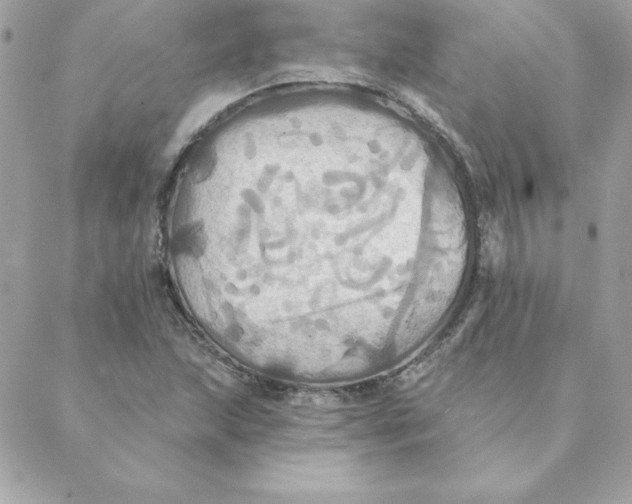 X0000088201215200706051223