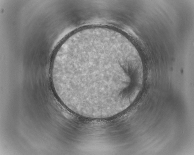 X0000088201216200706051223