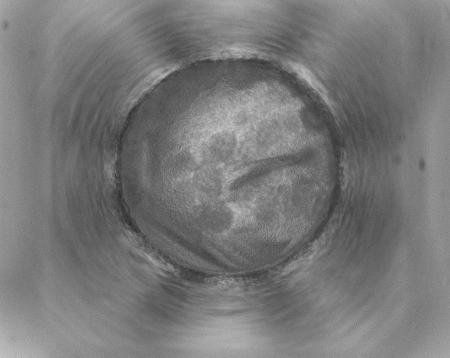 X0000088201217200706051223