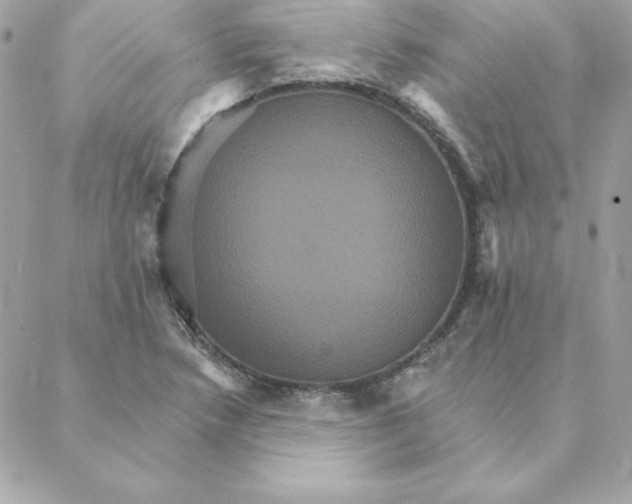 X0000088201218200706051223