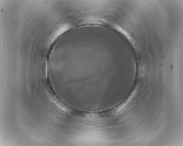 X0000088201219200706051223