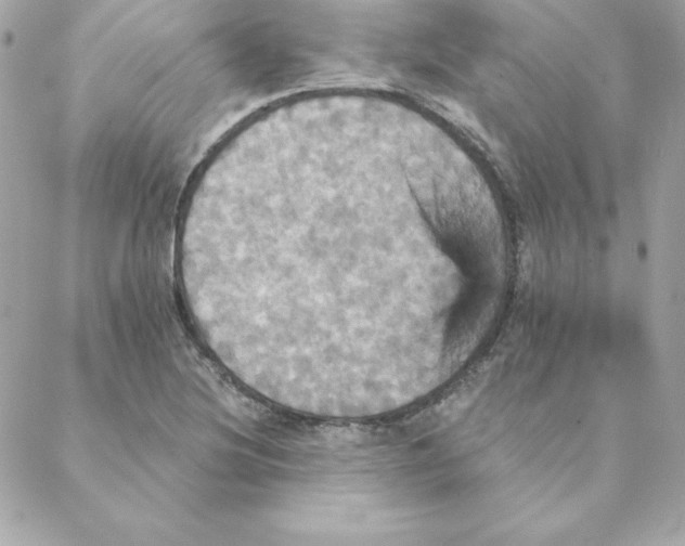 X0000088201220200706051223