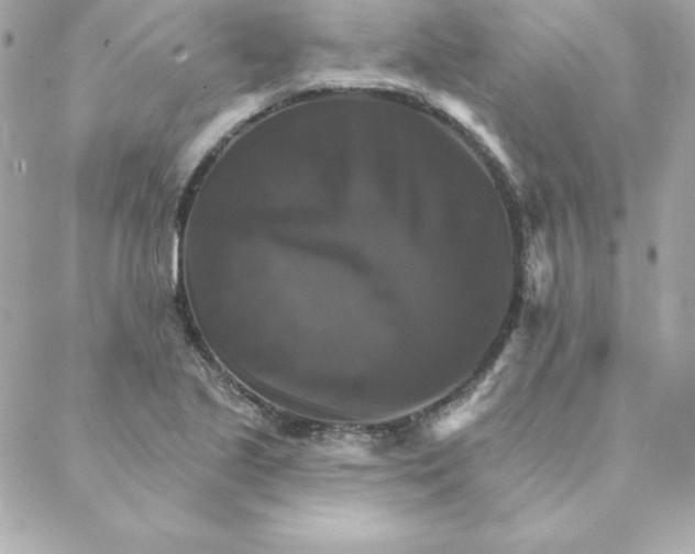 X0000088201221200706051223