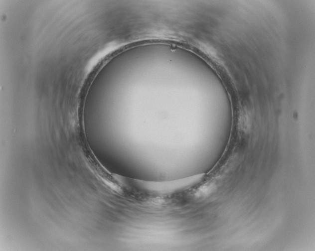 X0000088201222200706051223